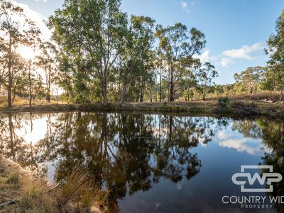 13 Bluff River Road, Tenterfield