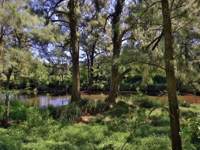 67 Battys Rd, Kangaroo Valley