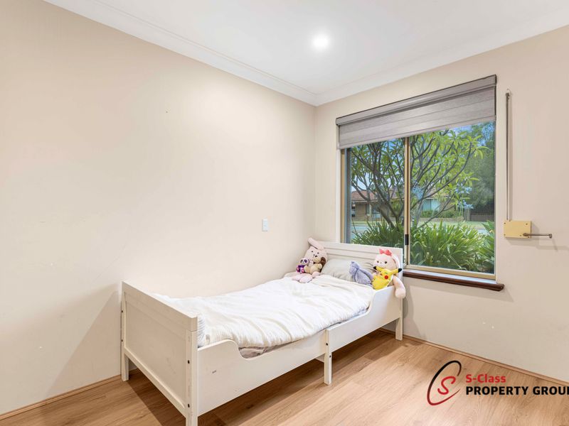 163 Rostrata Avenue, Willetton