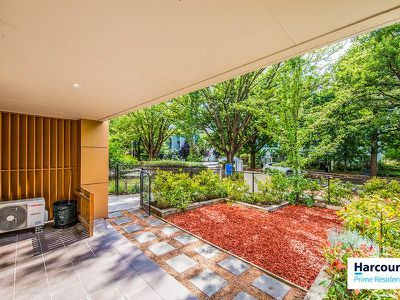 1 / 29 Forbes Street, Turner