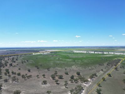 Lot  LOT 1 LP135805, 1  Cocketgedong Road, Urana