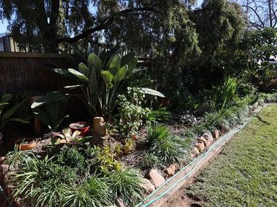 61 Clement Street, Forbes
