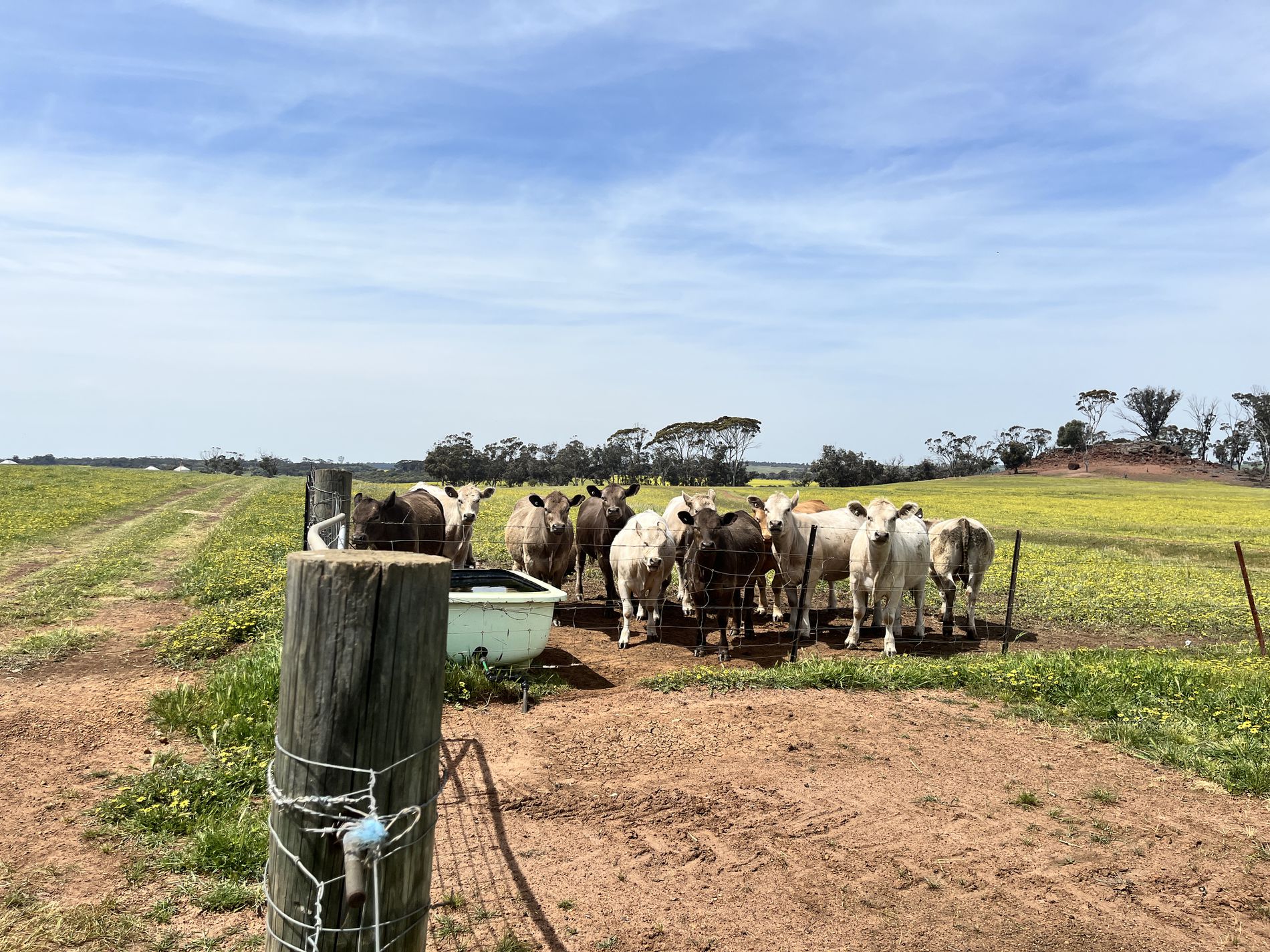 547 Bunmulling Road, Popanyinning