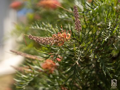 18 Eleanor Close, Hamlyn Terrace