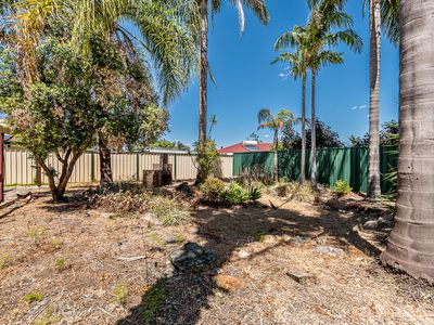 3 Braemore Street, Seville Grove