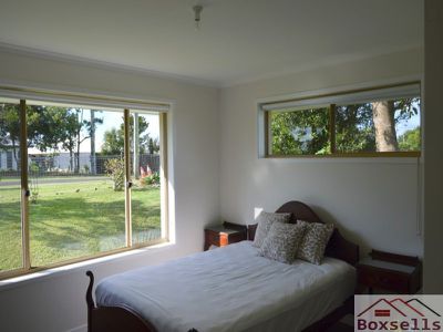 54 Palm, Maleny