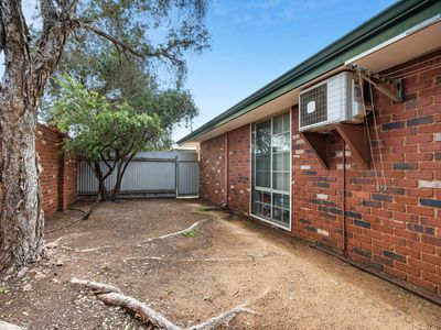 29 / 4 Ochiltree Street, Somerville