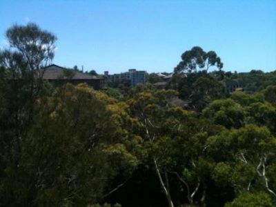 69 St Marks Road, Randwick