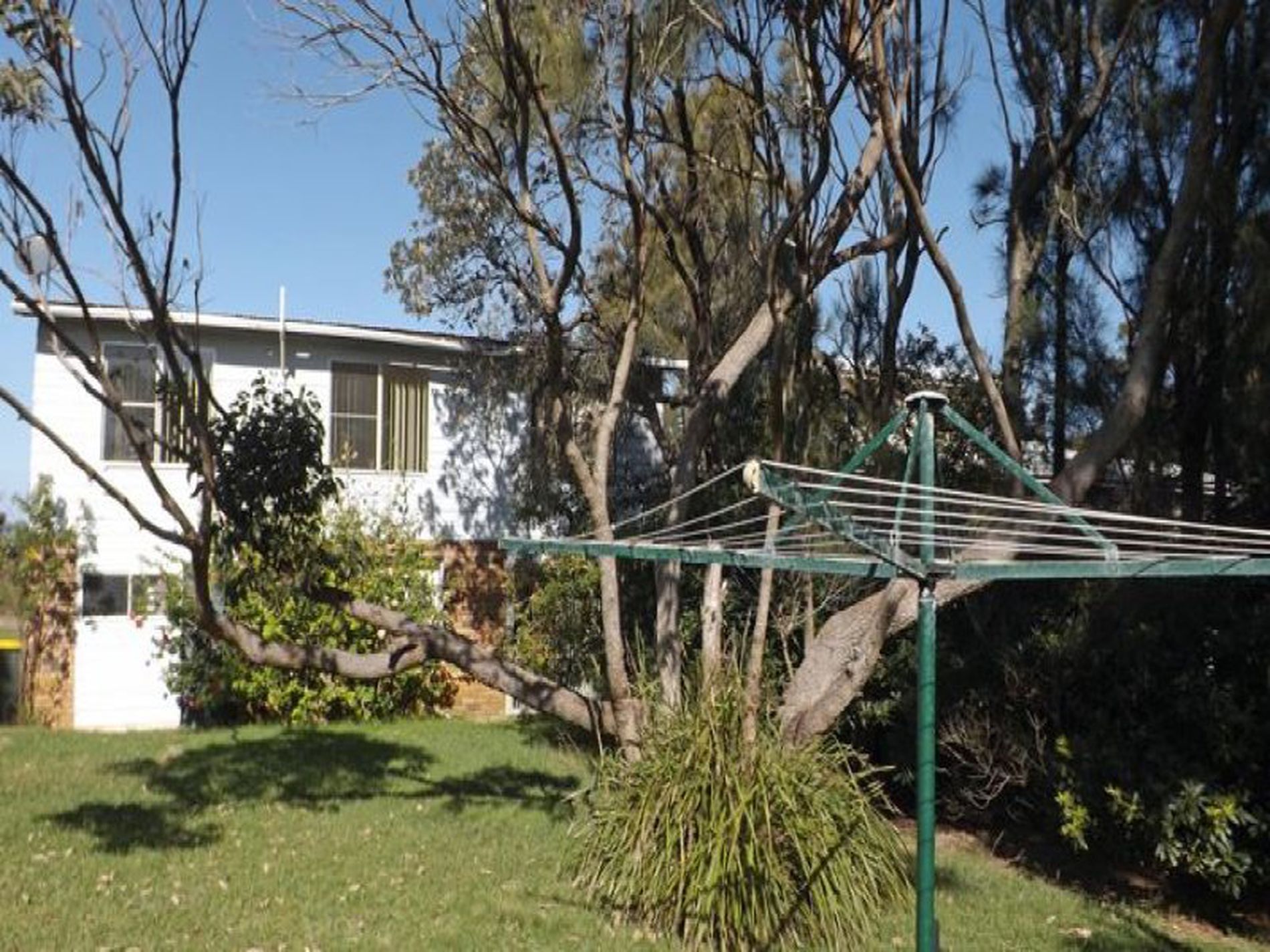 78 Sunset Strip, Manyana