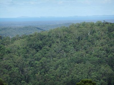 Lot 2, L 2 Brandenberg Road, Maleny