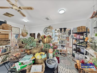 Magnolia Nursery