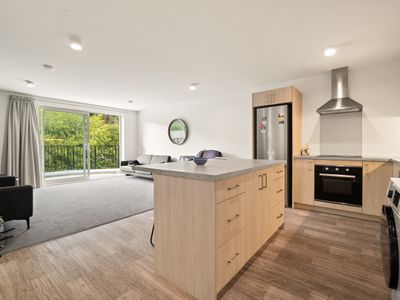 1 2 3 / 33 Malvern Street,, Woodhaugh