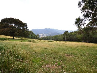 6358 Kiewa Valley Highway , Coral Bank