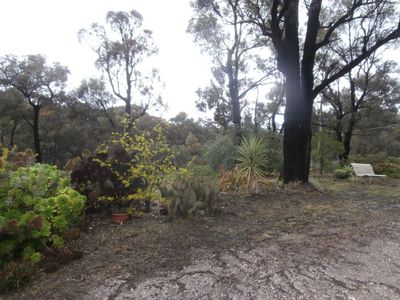 Lot 1 146 Loddon Valley Highway , Sailors Gully