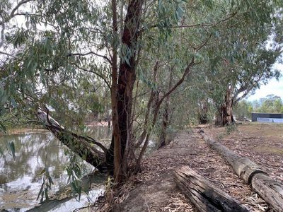 101 Glenview Drive, Barham
