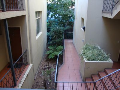 3 / 187 Evans Street, Rozelle