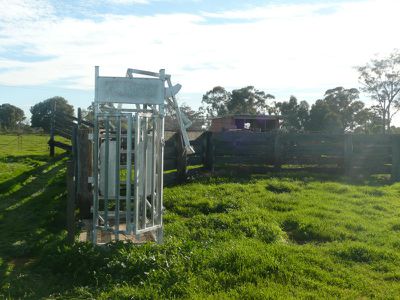 McClays Lane, Wakool