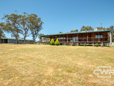 954 Bullock Mountain Road, Glen Innes