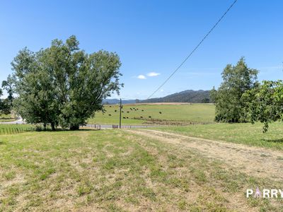 31692 Tasman Highway, Derby