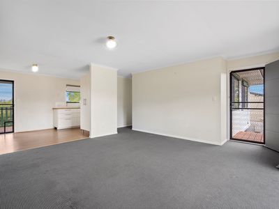 91 Begonia Street, Browns Plains