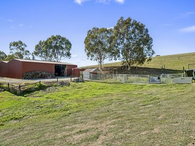 12 Nazek Court, Whiteheads Creek