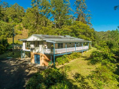 1117 Tuntable Creek Road, Nimbin