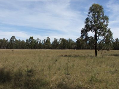 4096 Goolhi Road, Gunnedah