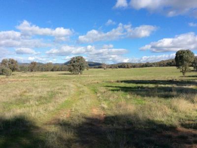 . Barambogie Road, Chiltern