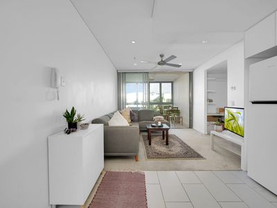 2016 / 16 Hamilton Place, Bowen Hills