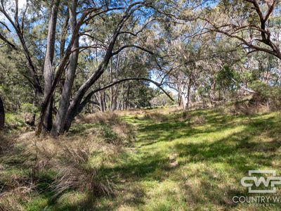 Lot 82, 4108 Tent Hill Road, Emmaville