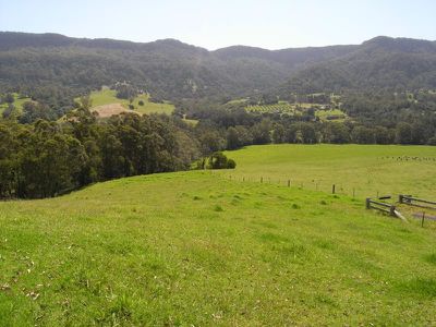 111 TreeFern Road, Kangaroo Valley