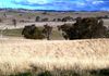 * Burrendong Way, Euchareena