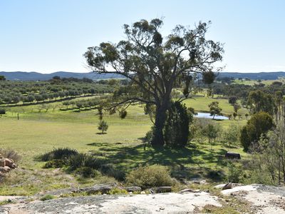 131 GREENWATTLE ROAD, Beechworth