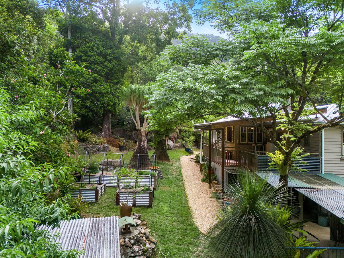 807 Left Bank Road, Mullumbimby Creek