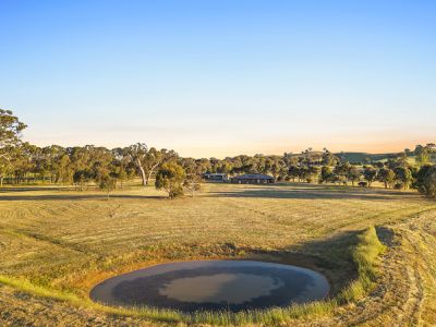 18 Grimwade Lane, Mansfield