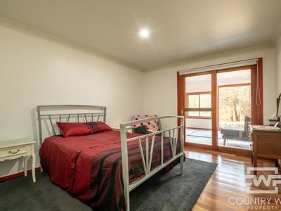 106 Warra Forest Road, Mount Mitchell