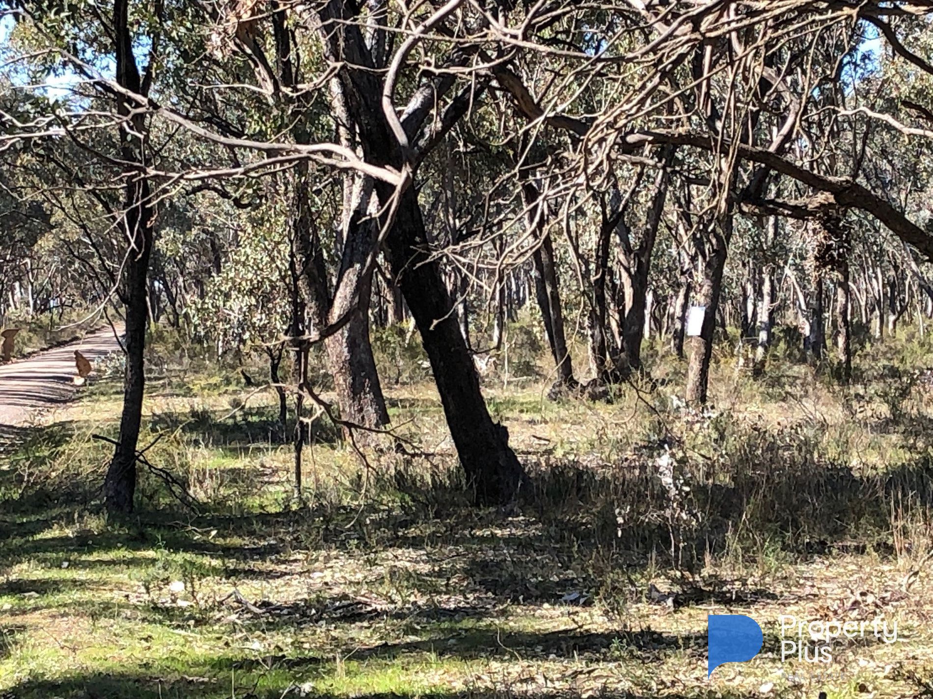 Lot 18 & 19, Derby Road, Campbells Forest