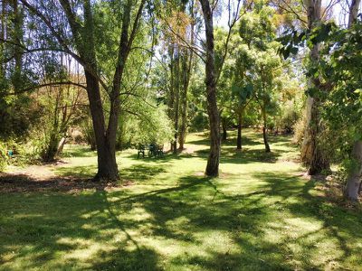 205 Piries-Goughs Bay Road, Piries