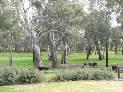 Tocumwal