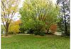 468 Icely Road, Orange