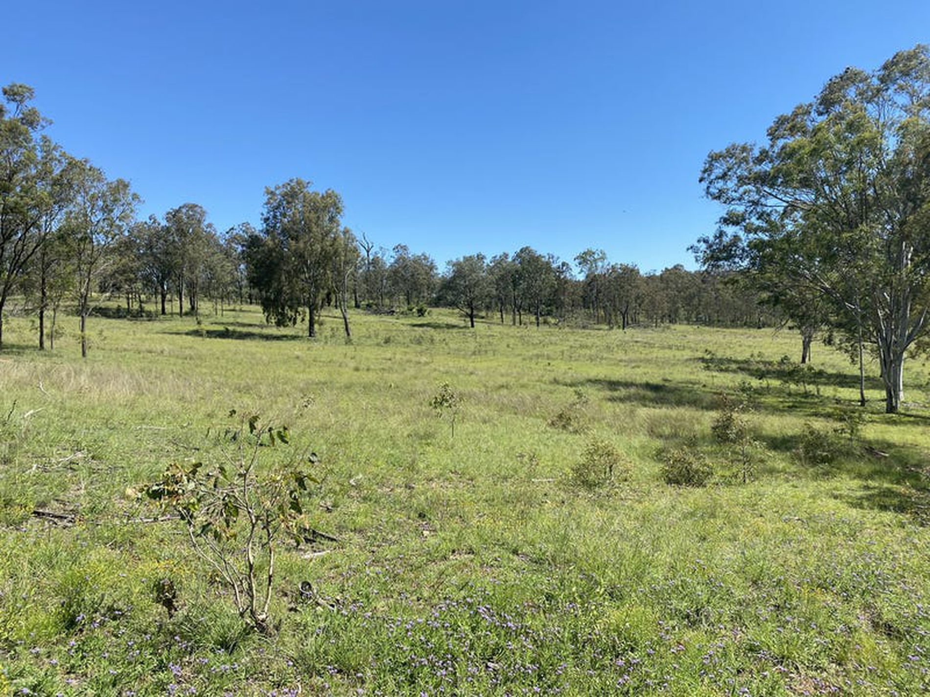 45 Brooklands Pimpimbudgee Road, Kingaroy
