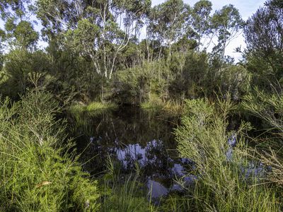 Lune River