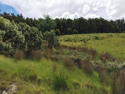 130 Bermuda Road, Glen Huon
