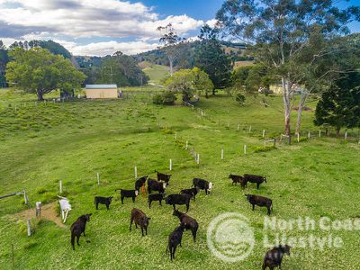 343 Main Arm Road, Mullumbimby