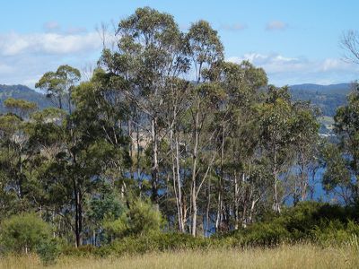 Ra Airds Road, Wattle Grove