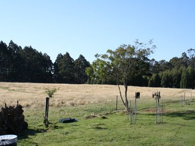 256 Lightwood Creek Road, Glen Huon