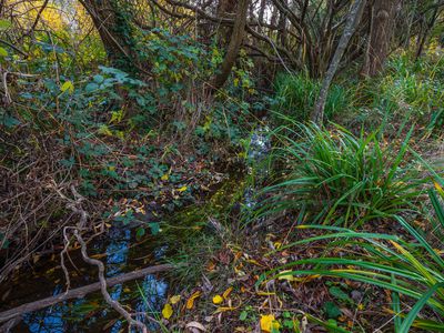 2 Childers Road, Mount Macedon