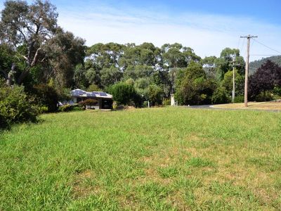 59 St Bernard Drive, Tawonga South