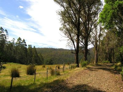 Halls Track Road, Pelverata