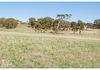 142 Darcy Brown Place, Orange